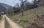 6000 MP intravilan, sat Bistrita, 9 Eur/MP - 1