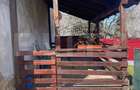 Casa cu 3 camere, 90 mp, 2 anexe gospodaresti si teren de 3000 mp, zona Crucisor - 18