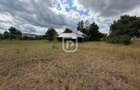 Casa + 1.600 MP teren Intravilan – Băișești | Aproape de Școală - 10