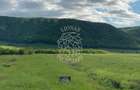 Teren intravilan-Crainimat -3000mp-ideal investitie construire casa - 4