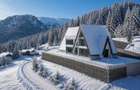 Vilă premium de vânzare în Borșa – zona Pârtiei Olimpice - 365 mp construiți, - 1