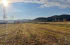 Teren intravilan 2992 mp, deschidere 30 m, utilități Măgureni, Prahova - 1