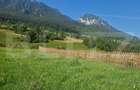Teren Plaiul Foii, vedere spre muntii Bucegi si apa Barsa 1004 mp Intravilan - 1
