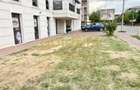 SPATIU COMERCIAL STRADAL/OPEN SPACE/5 PARCARI/IANCU NICOLAE/plus tva - 9
