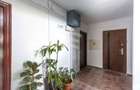 Pantelimon  Cora Parc Cosmos 3 camere - 17