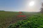 Teren extravilan in Urleta--5000m--18.500e - 3
