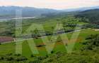 Teren de vânzare – 4.000 mp la intrare in Bradu, județul Sibiu - 1