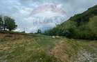 Teren 2,000mp Copalnic-Manastur / Strada Principala - 7