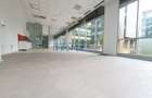 Comision 0! Spatii showroom/birouri in S-Park - diverse suprafete - 3