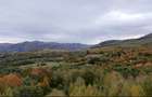 Teren extravilan, zona manastirii Sinca Noua 2652 mp - 3