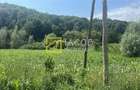 Teren Intravilan-Ideal Investitie-Podis,Margineni,Bacau - 4
