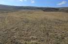 Teren de 10.100 mp, zona de case, in Valea Chintaului - 3