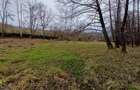 Resita, Teren Drept Intravilan, Langa Prau si Drum, Parcelabil, 4500 Mp., 15 Eur - 12