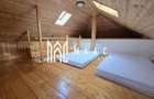 Casa 4 camere 3825 mp teren Cisnadioara - 22