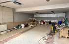 Vila Premium *800mp* // teren *963mp* / garaj cu 6 locuri* // Iancu Nicolae - 59
