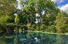 DREAM VILLA by the forest SPA POOL - 1