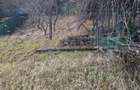 Sinaia – Furnica, 979 mp teren de vanzare!!! - 1