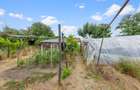 Casă de vânzare în zona Gai cu teren de 1.480 mp - 17