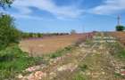 Intravilan vedere la lacul Snagov zona de vile noi - 7