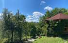 Domeniu exclusivist 17.000 mp | Vilă luxury cu piscină & SPA – Cărbunari - 3