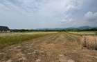 Teren intravilan 2.200 mp, utilități în curs de implementare, zona Recea - 1