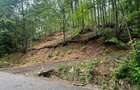 Teren intravilan, 2.6 ha, zona Complex Turistic Suior - 2