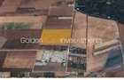 TEREN INDUSTRIAL / LOGISTIC — 13 HA | ARICESTII RAHTIVANI | DN 72 - 3