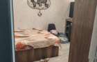 Apartament 2 camere, zona Plantelor, parter. - 8