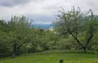 Domeniu Premium 1.7 Ha Intravilan Zărnești | Lizieră Pădure | Ideal Resort - 9