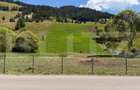 Teren extravilan,  5 hectare, Șaru Dornei - 4
