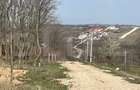 Teren intravilan de vanzare, 9783 mp, Paleu zona Iacului - 5