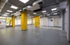 SPAȚIU COMERCIAL  | 231 MP | VAD COMERCIAL - 2