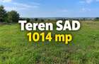Teren - SAD - Mosnita Veche - 1