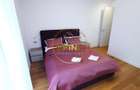 Primaverii, 4 room spacious, furnished apartment, large terrace, parking - 23