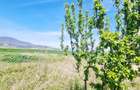 Unitate investitionala: 47.577 mp, Codlea .-. Ghimbav, acces facil, ariere remar - 14