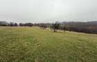 Teren deosebit 3,5HA zona Cisnadioara - 6
