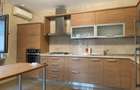 Zona Hale, vilă D+P+E+M, finisaje premium - 8