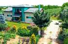 Vila + Afacere 15.000mp Clinceni - 1