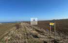 Teren intravilan 47.400 mp, Vama Veche, 200 m de Marea Neagra - 11