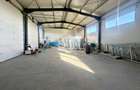 Hala industriala noua de inchiriat, Les, Bihor - 1