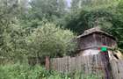 Teren construcție + teren fâneață + livada - 6