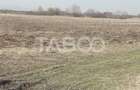 Teren extravilan 4200 mp in Sibiu zona Turnisor - 2