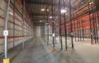 Zona Pallady, 940mp, in apropiere metrou si STB - 3