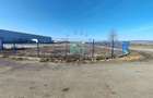 Hala Industriala, 5500 mp, Feldioara, Brasov - 8
