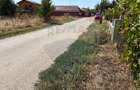 Teren 2.809 mp în Pasărea-Brănești | Dublă deschidere, rezidențial - 5