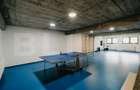 Resort montan premium de vanzare - Colibita - 11