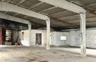 HALE INDUSTRIALE | CLADIRE BIROURI | TEREN 7000 MP | GHEGHIE BIHOR - 6