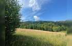 Teren cu potențial turistic, cadru natural rar, 20.000 mp  Sacuieu - 7