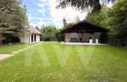 Vila de poveste din Valea Avrigului de vanzare - 15
