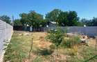 Cernica-Sat Posta, 600 m.p., toate utilitatile, ingradit,ideal investitie. - 12
